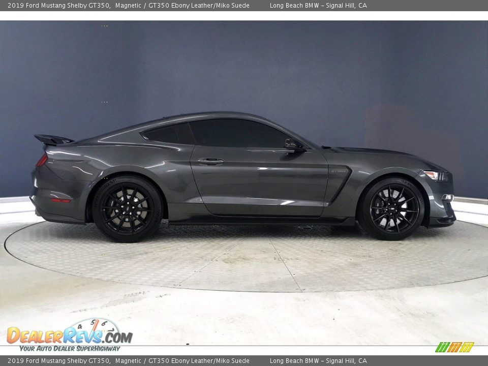 Magnetic 2019 Ford Mustang Shelby GT350 Photo #14