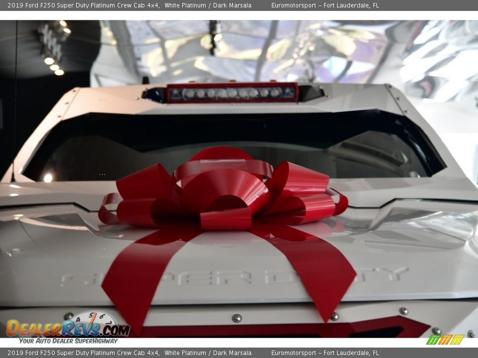 2019 Ford F250 Super Duty Platinum Crew Cab 4x4 White Platinum / Dark Marsala Photo #15