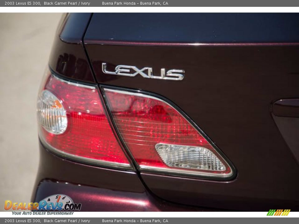 2003 Lexus ES 300 Black Garnet Pearl / Ivory Photo #10