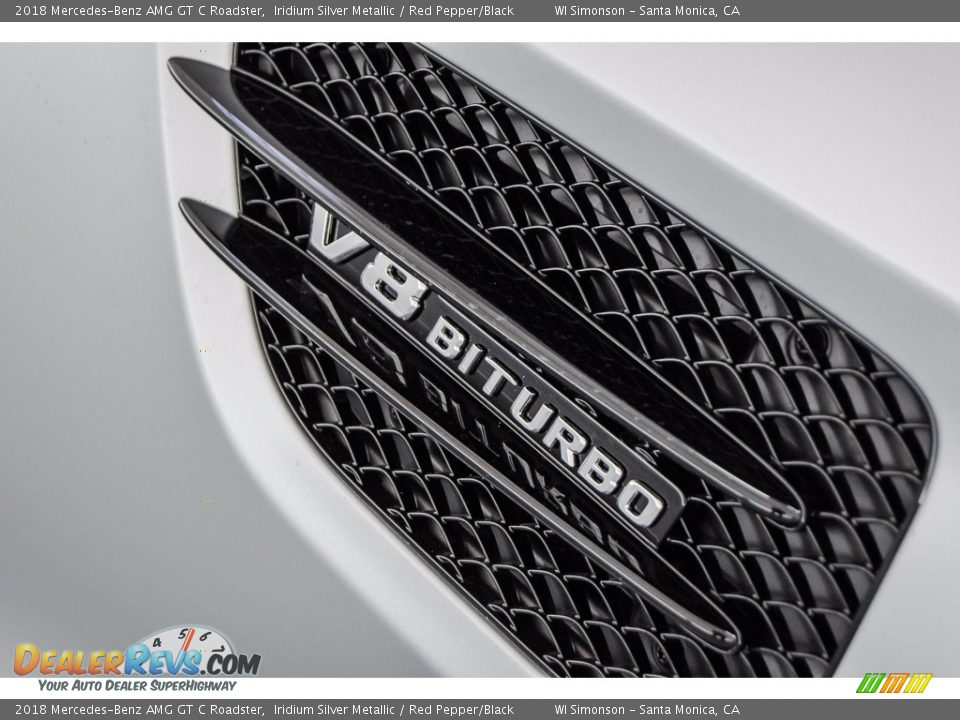 2018 Mercedes-Benz AMG GT C Roadster Iridium Silver Metallic / Red Pepper/Black Photo #36