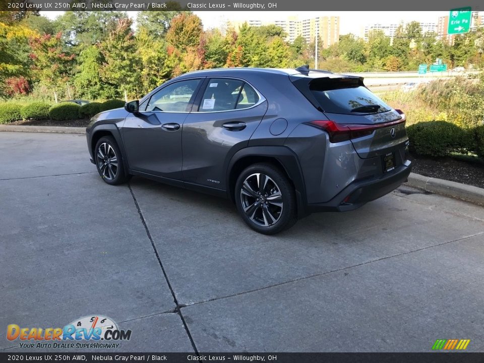 2020 Lexus UX 250h AWD Nebula Gray Pearl / Black Photo #4