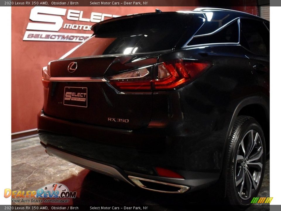 2020 Lexus RX 350 AWD Obsidian / Birch Photo #6