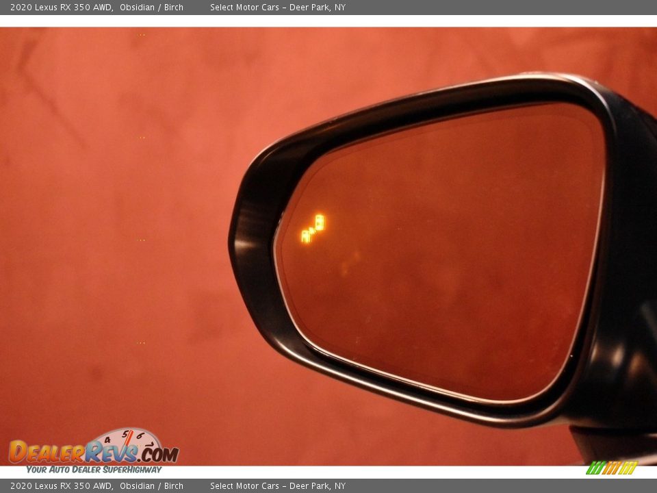 2020 Lexus RX 350 AWD Obsidian / Birch Photo #8