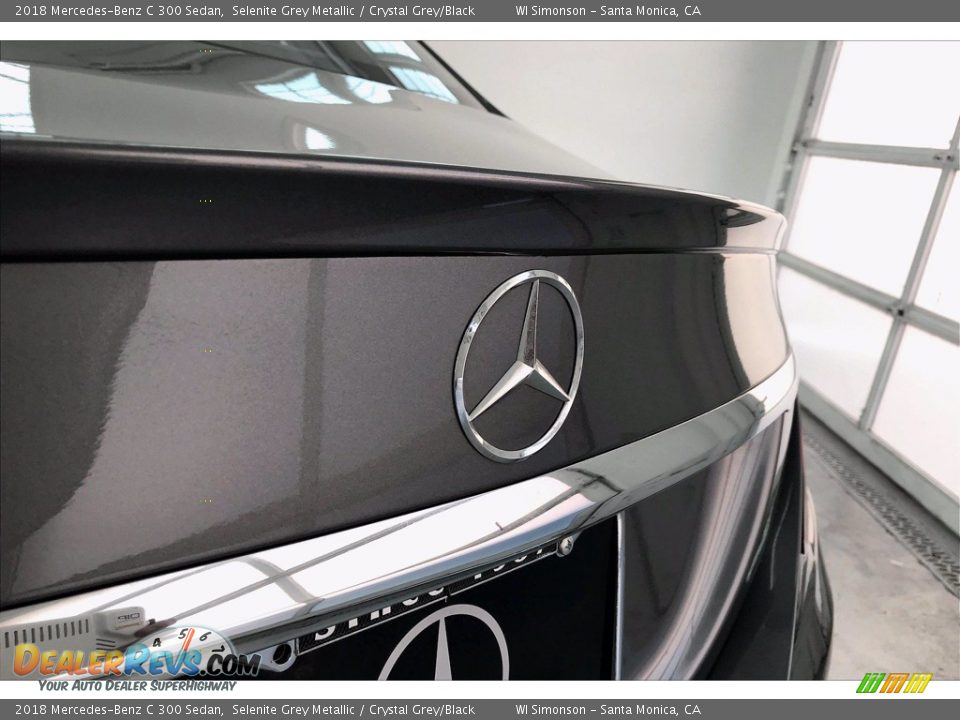 2018 Mercedes-Benz C 300 Sedan Selenite Grey Metallic / Crystal Grey/Black Photo #7