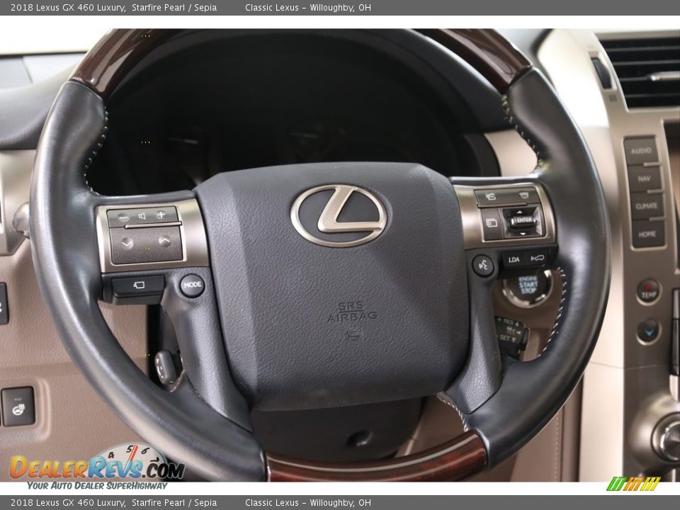 2018 Lexus GX 460 Luxury Steering Wheel Photo #7