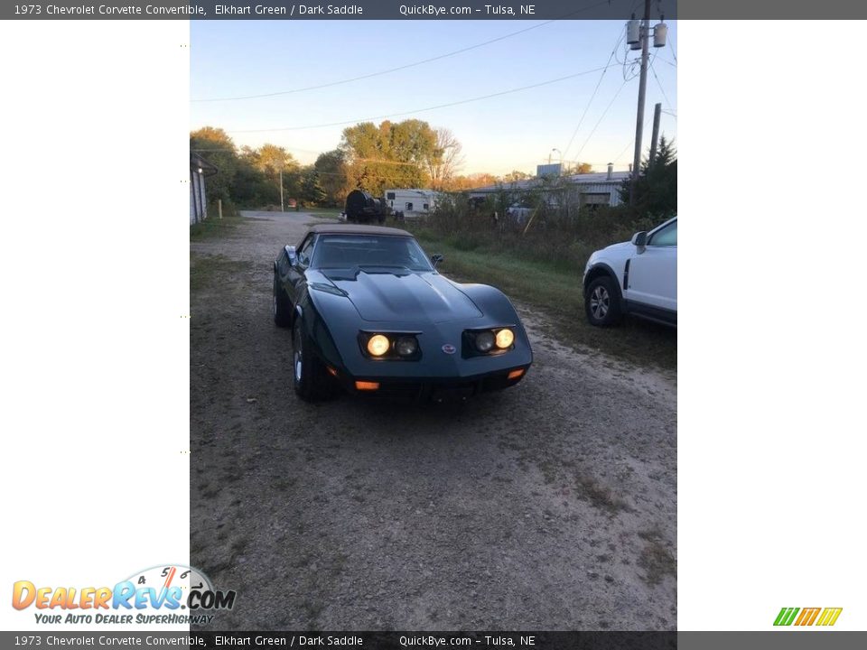 1973 Chevrolet Corvette Convertible Elkhart Green / Dark Saddle Photo #1