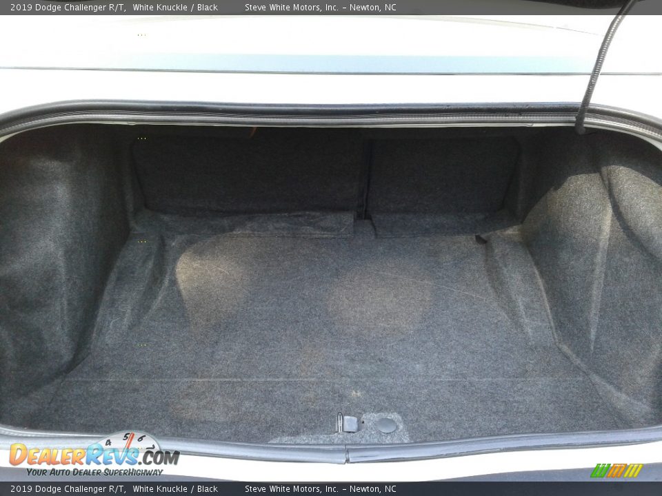 2019 Dodge Challenger R/T White Knuckle / Black Photo #14