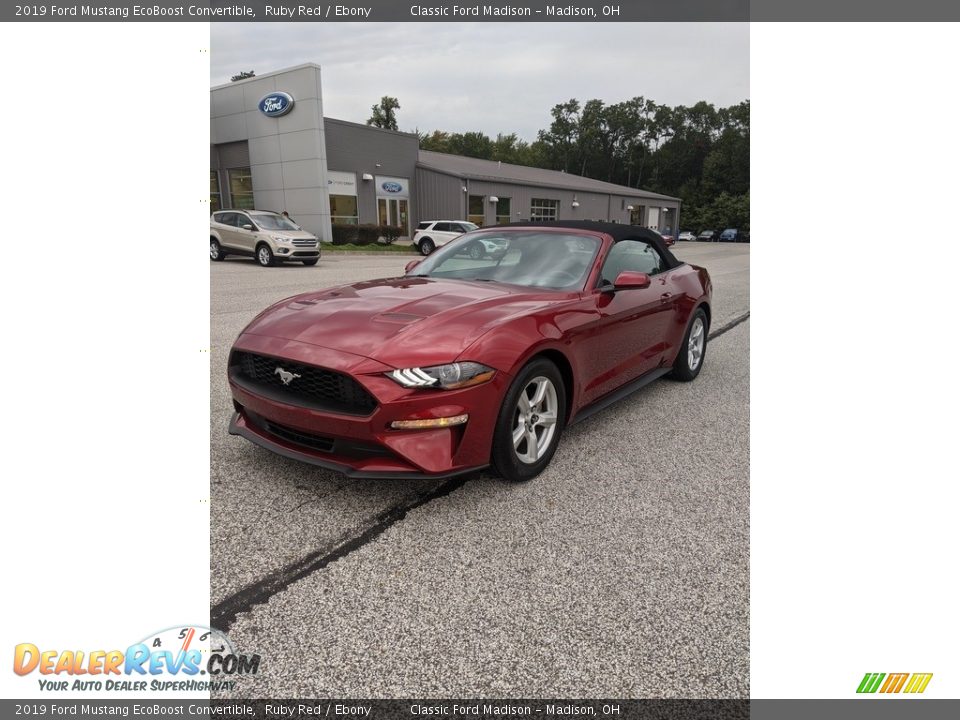 2019 Ford Mustang EcoBoost Convertible Ruby Red / Ebony Photo #1