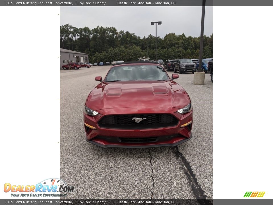 2019 Ford Mustang EcoBoost Convertible Ruby Red / Ebony Photo #2