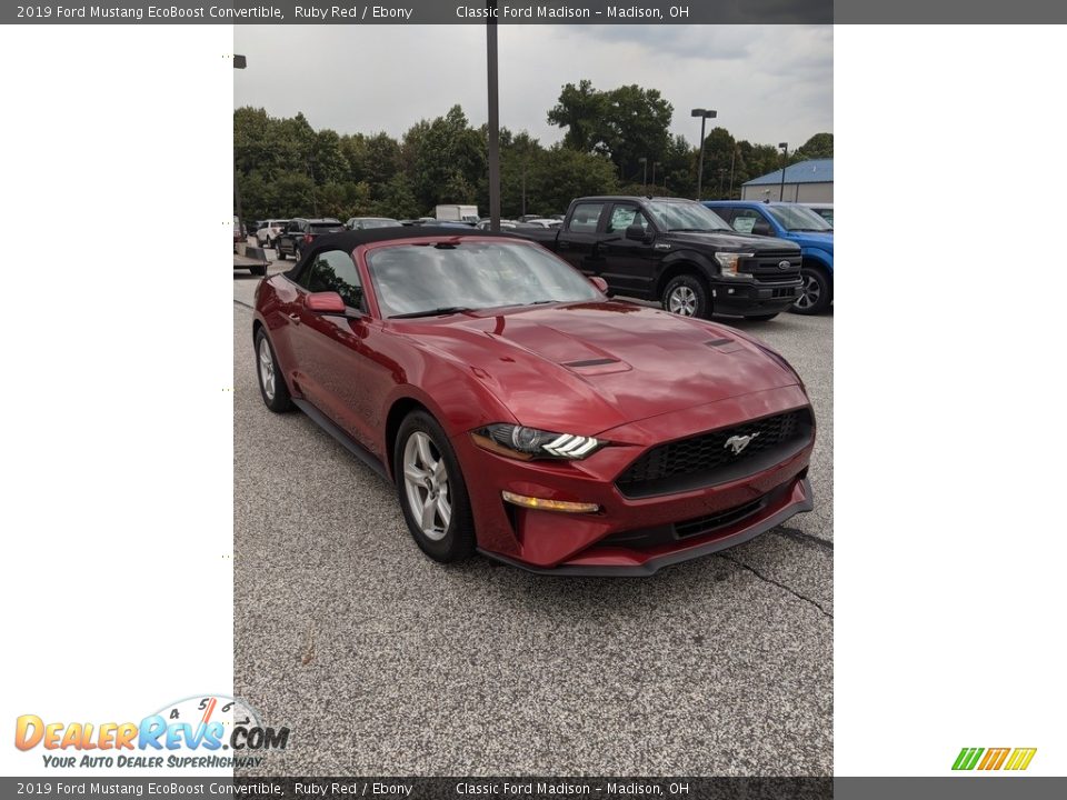 2019 Ford Mustang EcoBoost Convertible Ruby Red / Ebony Photo #3