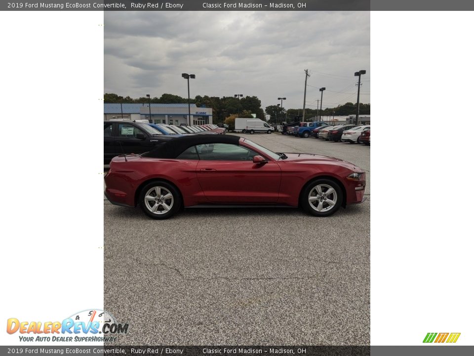 2019 Ford Mustang EcoBoost Convertible Ruby Red / Ebony Photo #4