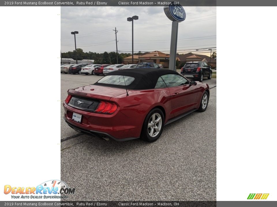 2019 Ford Mustang EcoBoost Convertible Ruby Red / Ebony Photo #5