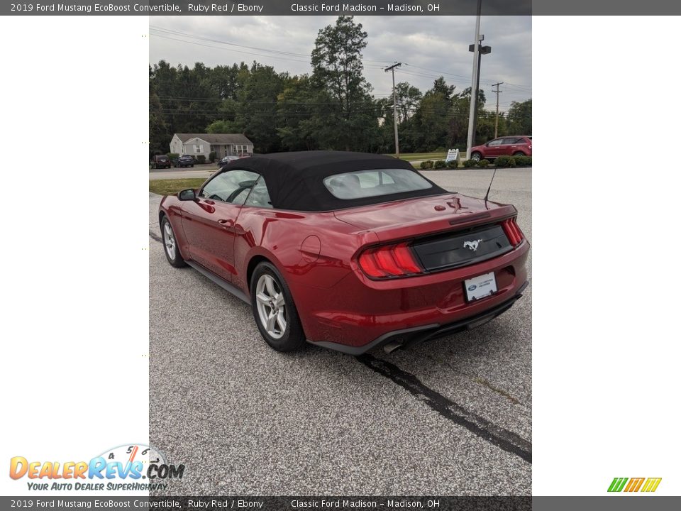 2019 Ford Mustang EcoBoost Convertible Ruby Red / Ebony Photo #7
