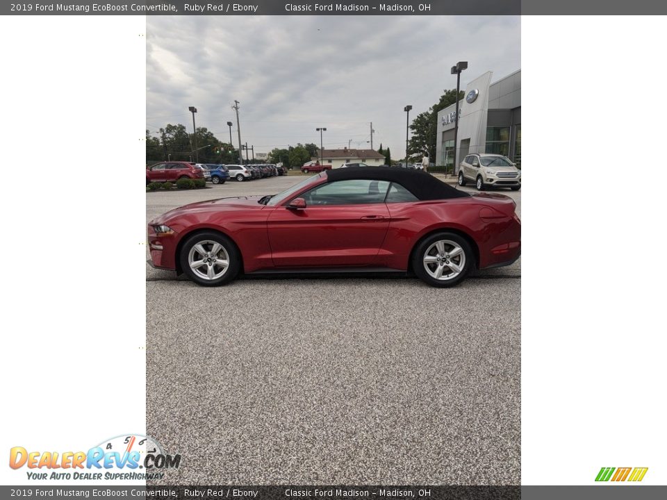 2019 Ford Mustang EcoBoost Convertible Ruby Red / Ebony Photo #8