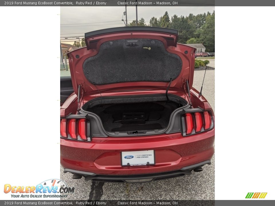 2019 Ford Mustang EcoBoost Convertible Ruby Red / Ebony Photo #13