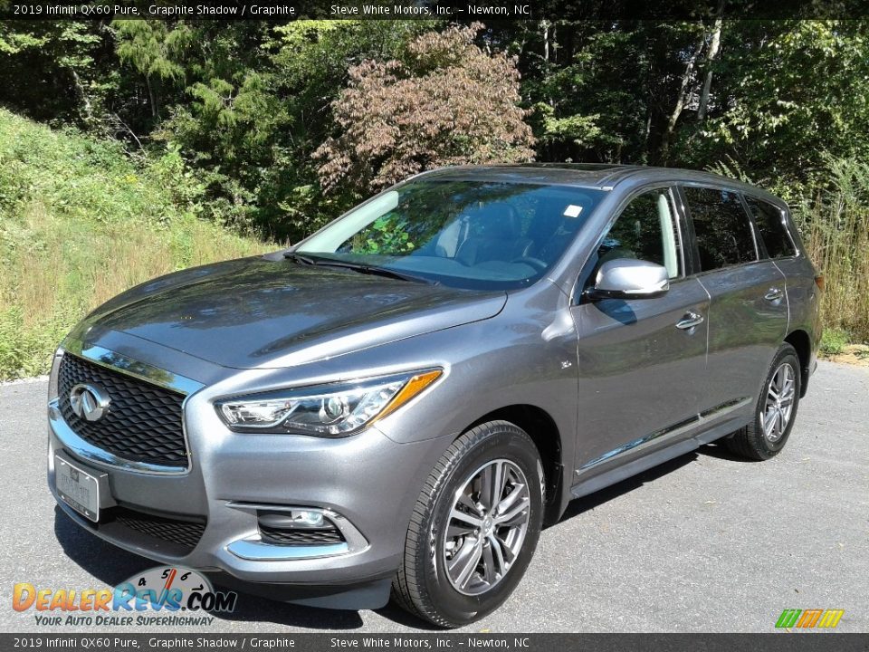 2019 Infiniti QX60 Pure Graphite Shadow / Graphite Photo #2