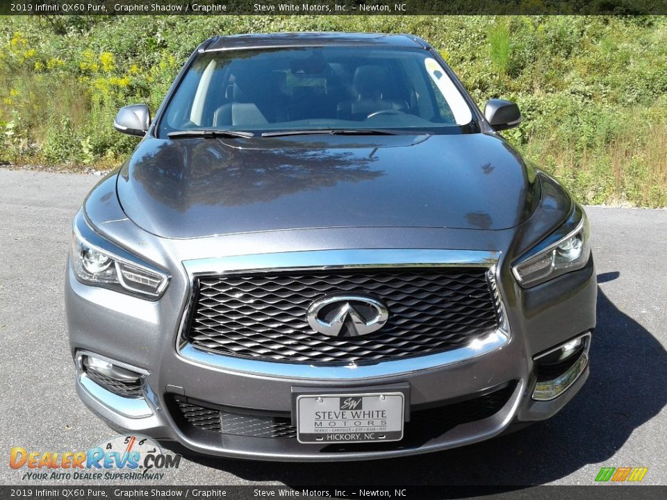 2019 Infiniti QX60 Pure Graphite Shadow / Graphite Photo #3