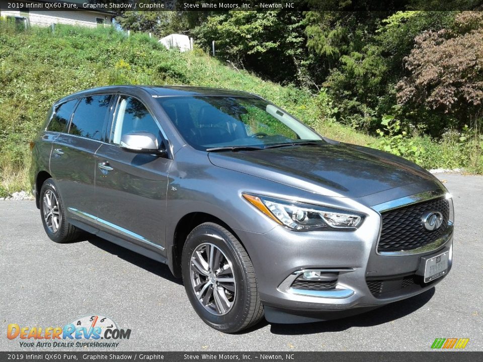 2019 Infiniti QX60 Pure Graphite Shadow / Graphite Photo #4