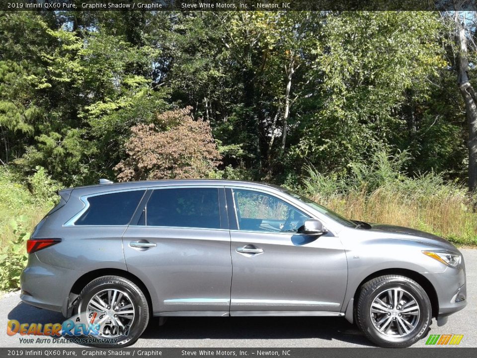 2019 Infiniti QX60 Pure Graphite Shadow / Graphite Photo #5