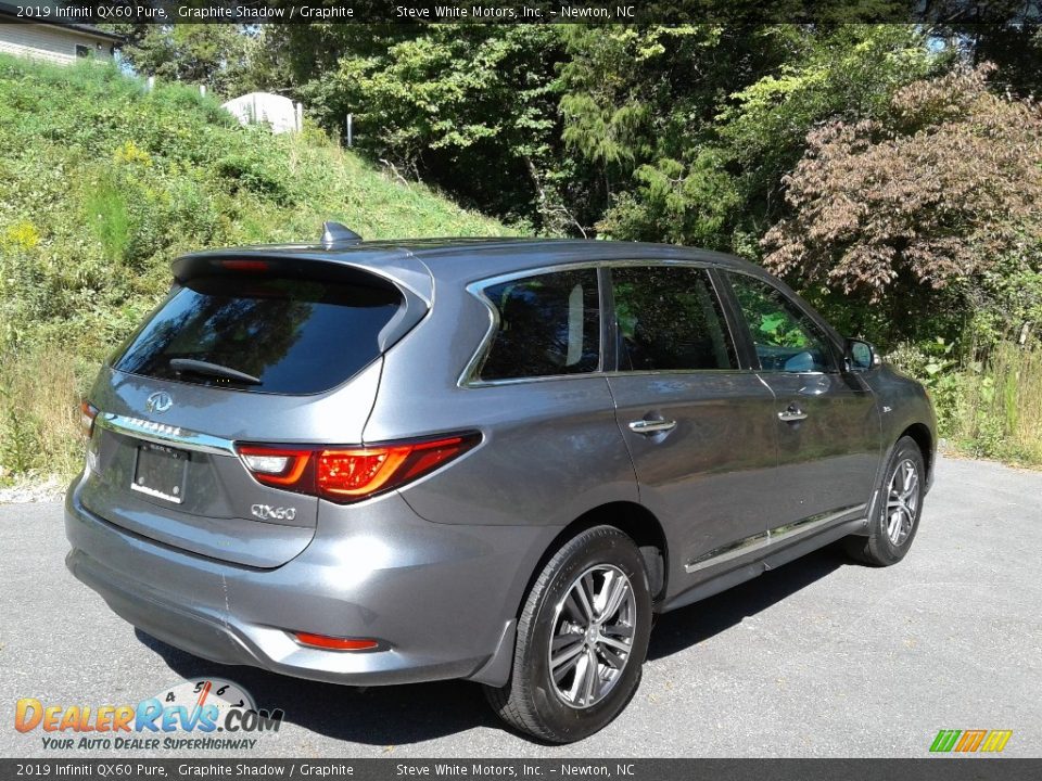 2019 Infiniti QX60 Pure Graphite Shadow / Graphite Photo #6