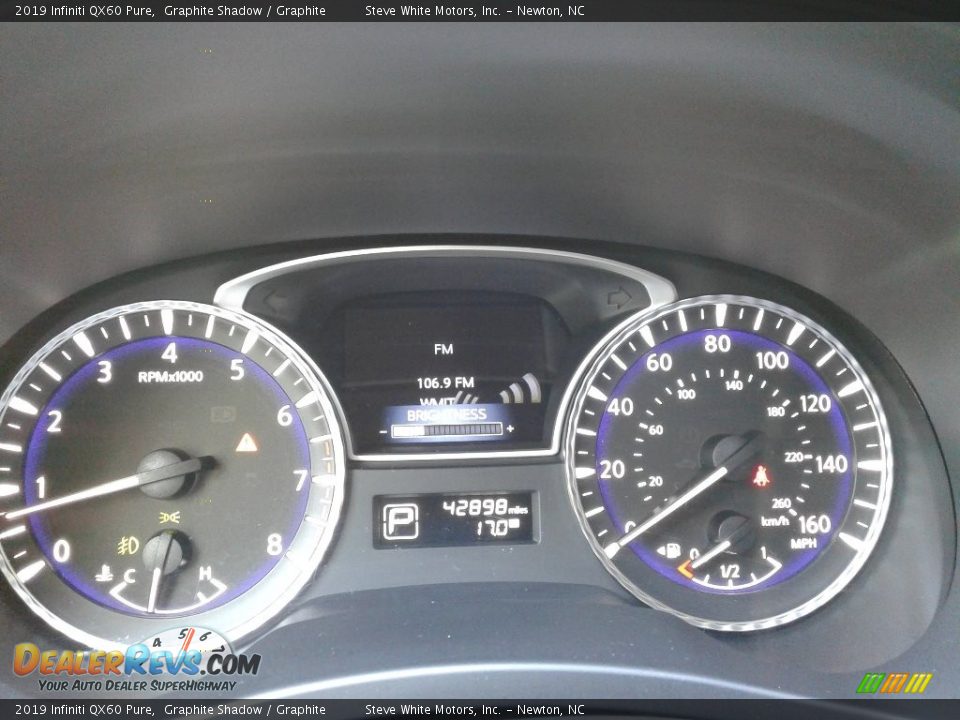 2019 Infiniti QX60 Pure Graphite Shadow / Graphite Photo #21