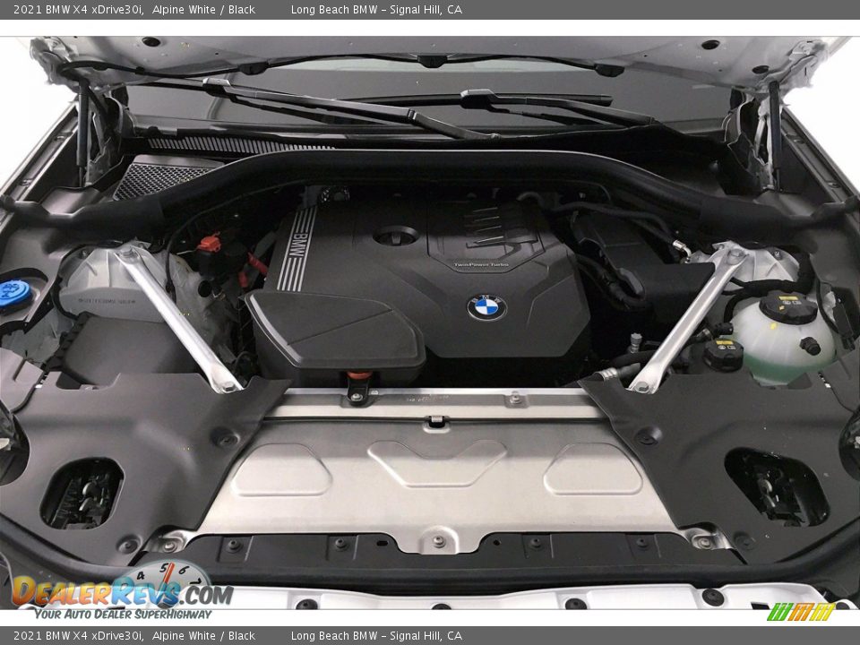 2021 BMW X4 xDrive30i Alpine White / Black Photo #10