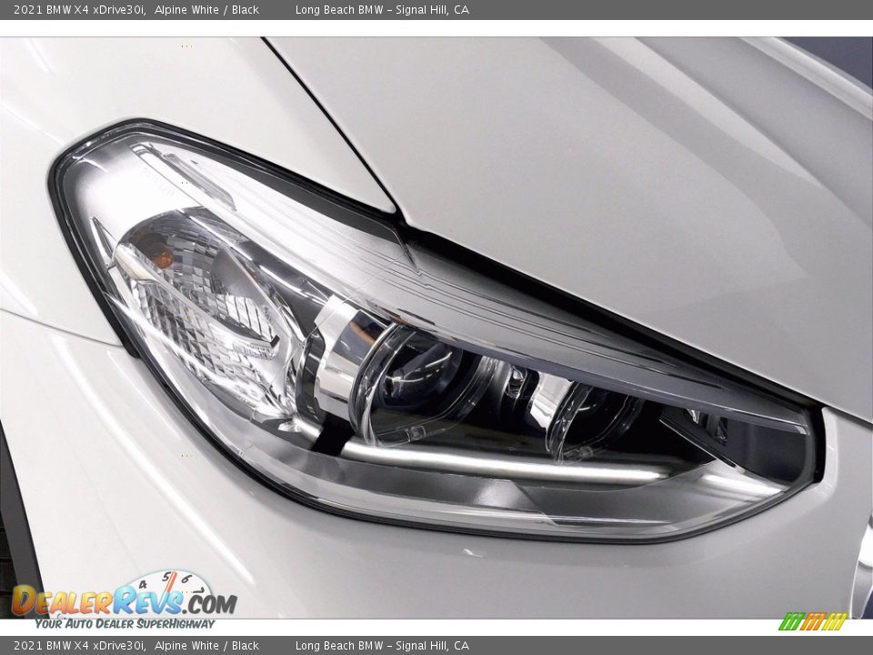 2021 BMW X4 xDrive30i Alpine White / Black Photo #14