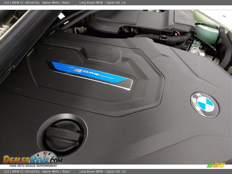 2021 BMW X3 xDrive30e Logo Photo #11