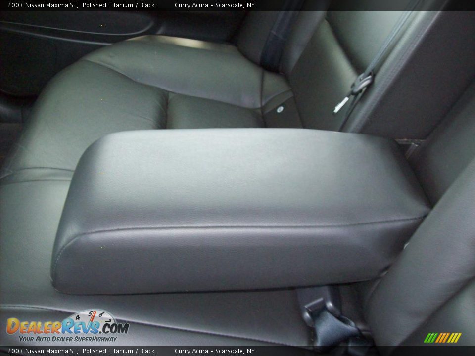 2003 Nissan Maxima SE Polished Titanium / Black Photo #11