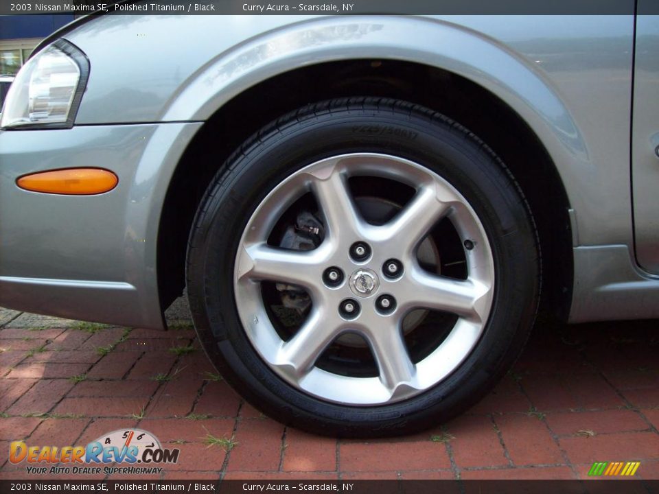2003 Nissan Maxima SE Polished Titanium / Black Photo #19