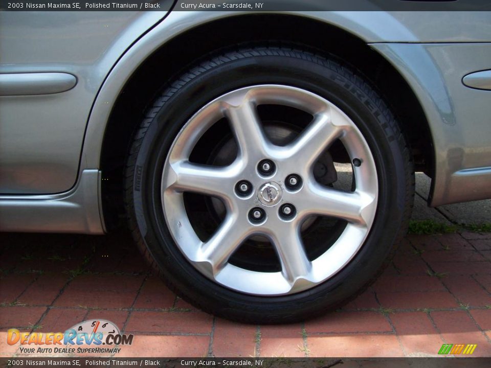2003 Nissan Maxima SE Polished Titanium / Black Photo #20