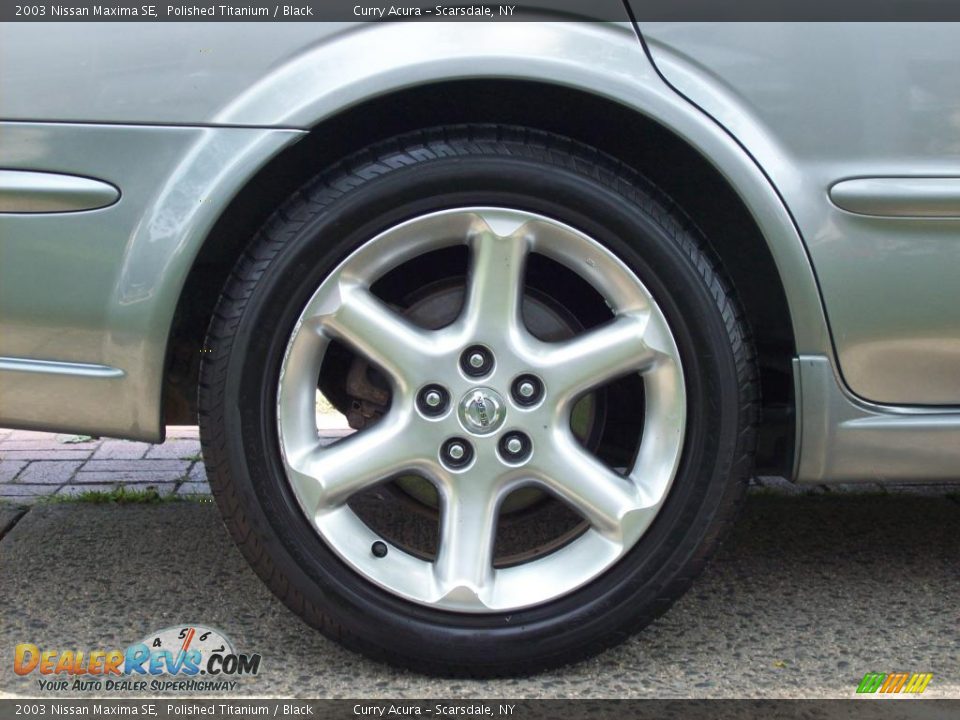 2003 Nissan Maxima SE Polished Titanium / Black Photo #21