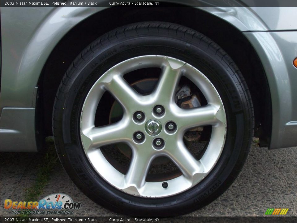 2003 Nissan Maxima SE Polished Titanium / Black Photo #22
