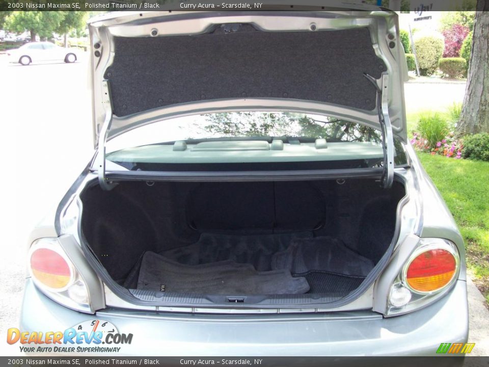 2003 Nissan Maxima SE Polished Titanium / Black Photo #23