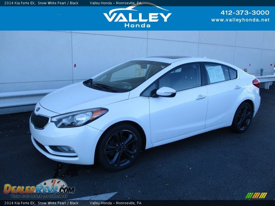 Dealer Info of 2014 Kia Forte EX Photo #1