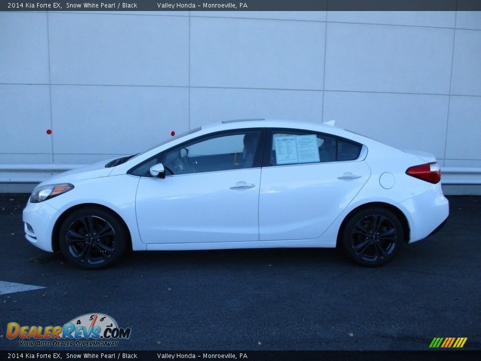 Snow White Pearl 2014 Kia Forte EX Photo #2