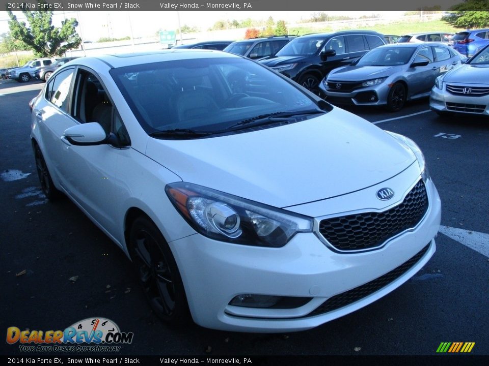 Snow White Pearl 2014 Kia Forte EX Photo #8