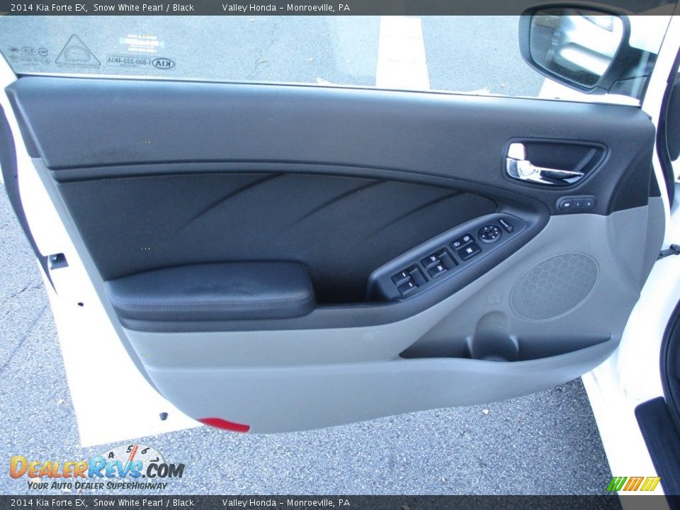 Door Panel of 2014 Kia Forte EX Photo #11