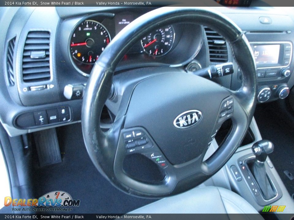 2014 Kia Forte EX Steering Wheel Photo #15