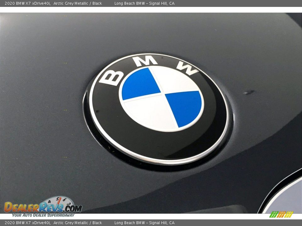2020 BMW X7 xDrive40i Arctic Grey Metallic / Black Photo #33