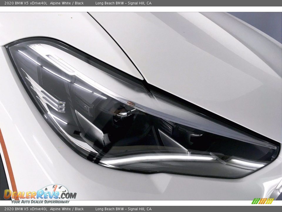 2020 BMW X5 xDrive40i Alpine White / Black Photo #14