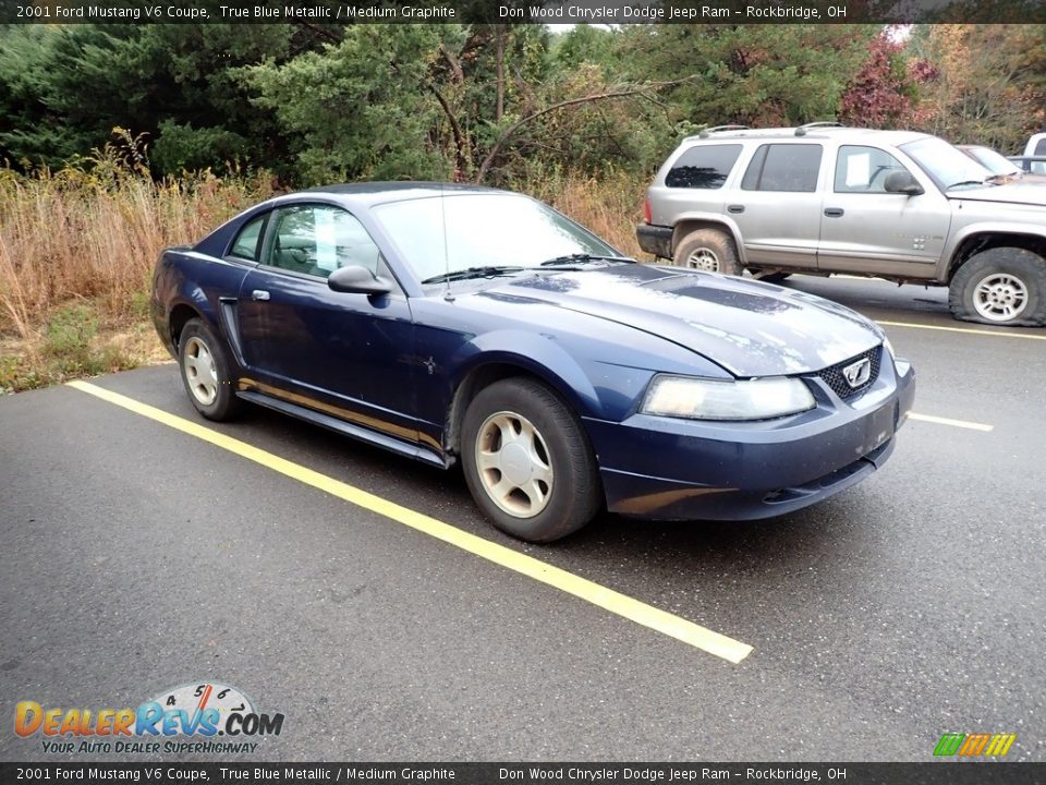 2001 Ford Mustang V6 Coupe True Blue Metallic / Medium Graphite Photo #2