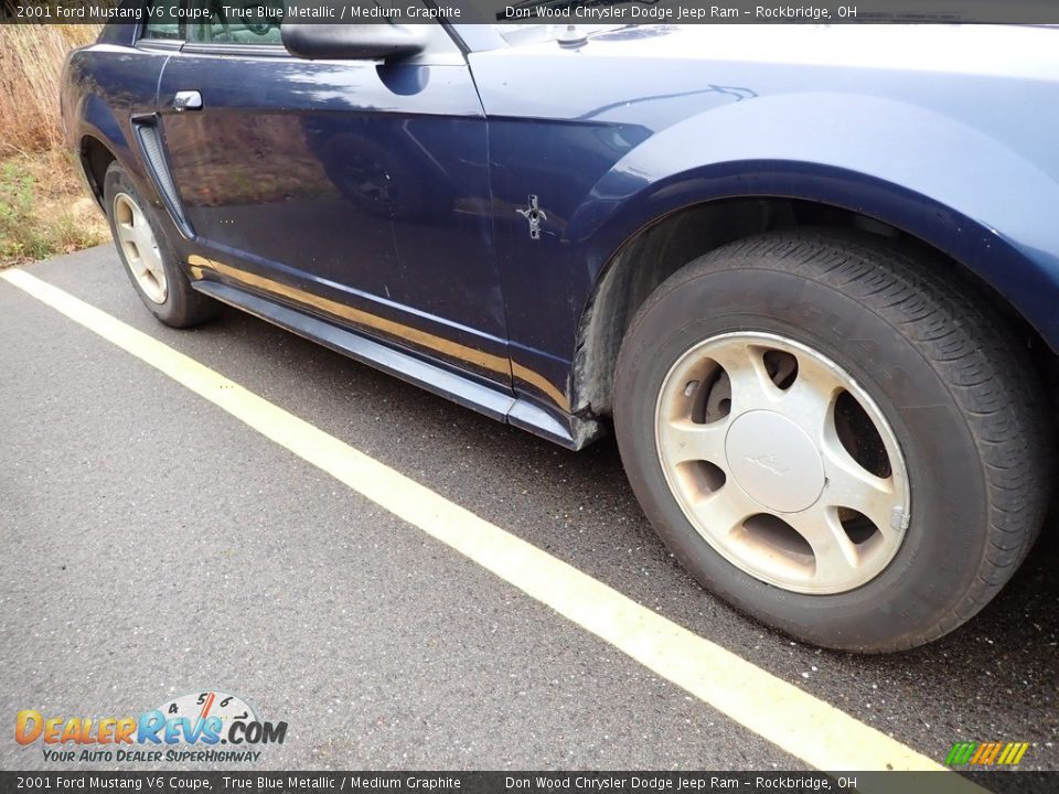 2001 Ford Mustang V6 Coupe True Blue Metallic / Medium Graphite Photo #3