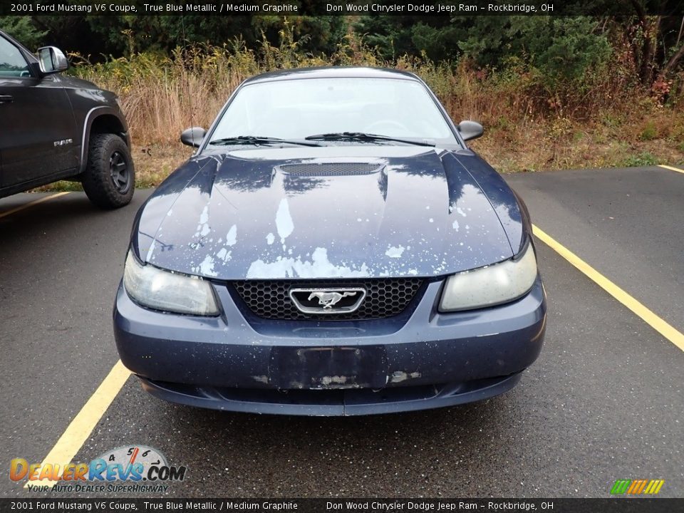 2001 Ford Mustang V6 Coupe True Blue Metallic / Medium Graphite Photo #4