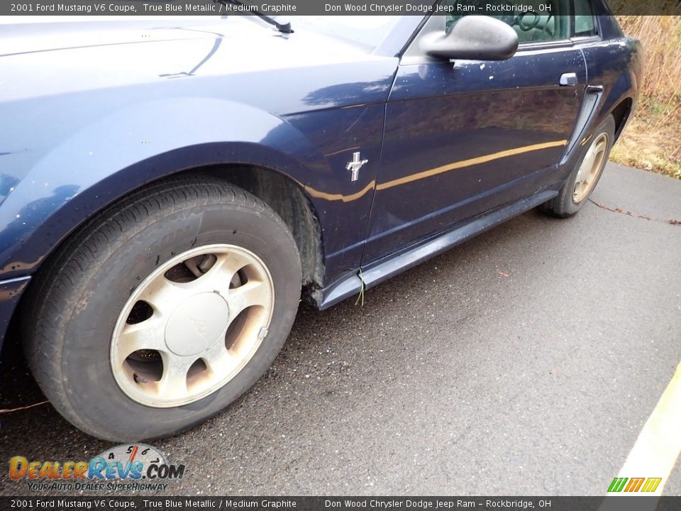 2001 Ford Mustang V6 Coupe True Blue Metallic / Medium Graphite Photo #6