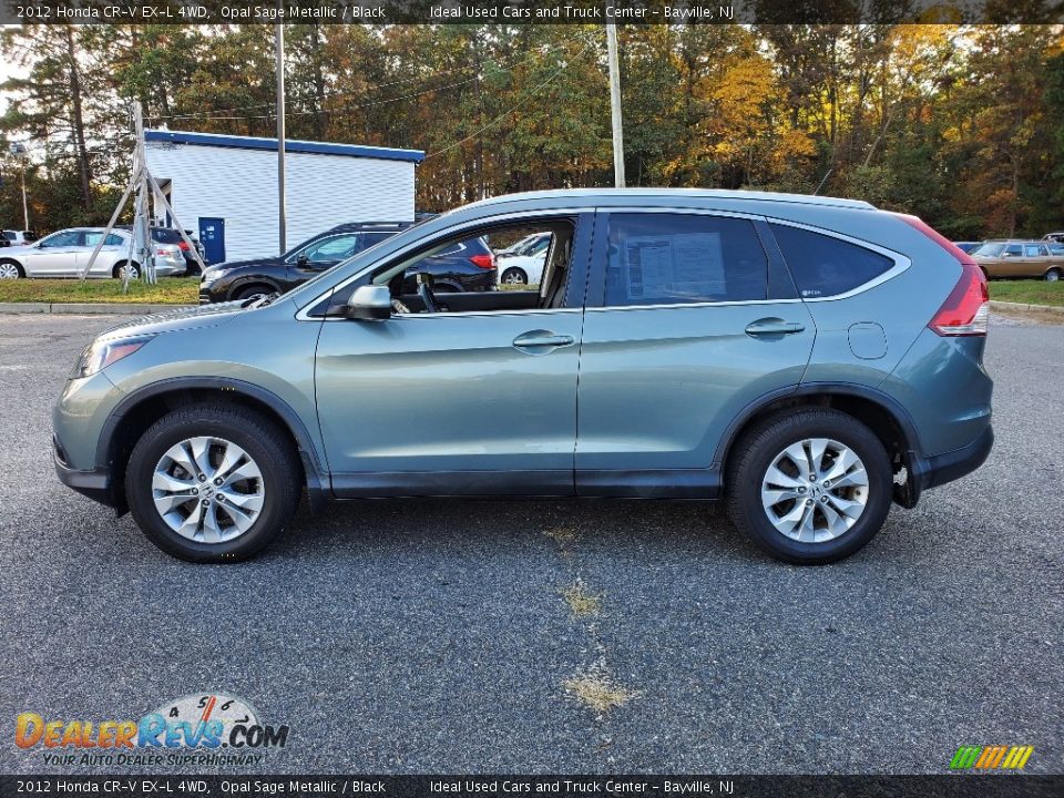 2012 Honda CR-V EX-L 4WD Opal Sage Metallic / Black Photo #4