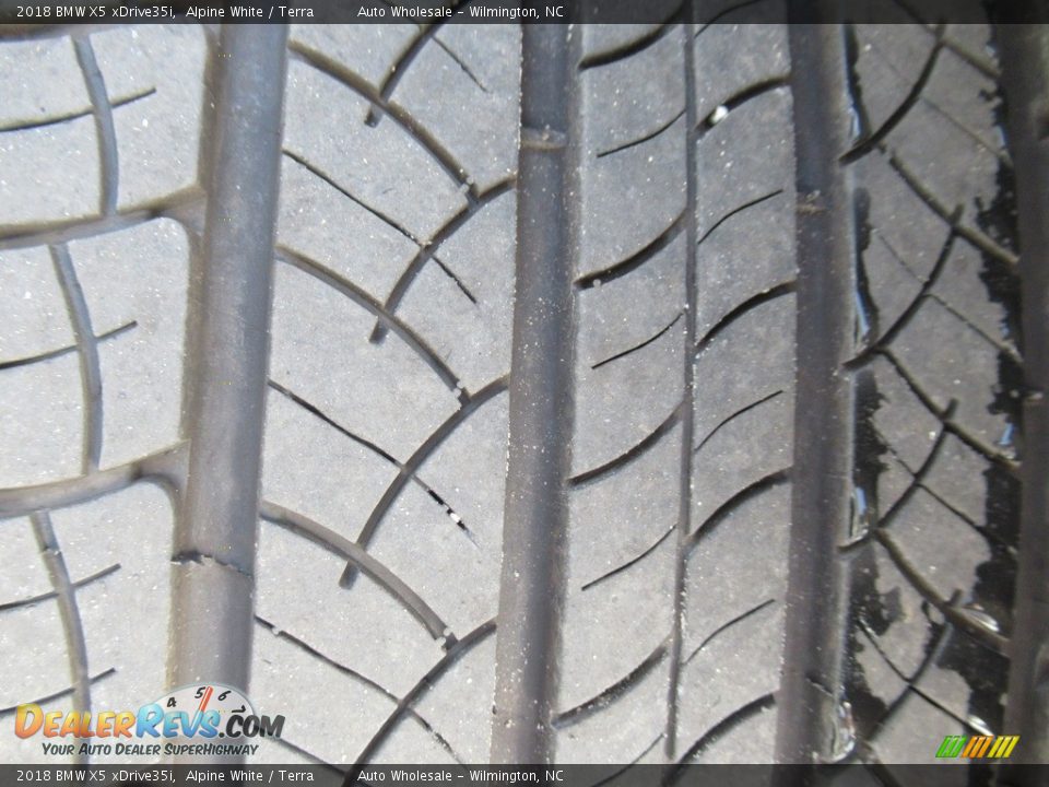 2018 BMW X5 xDrive35i Alpine White / Terra Photo #8