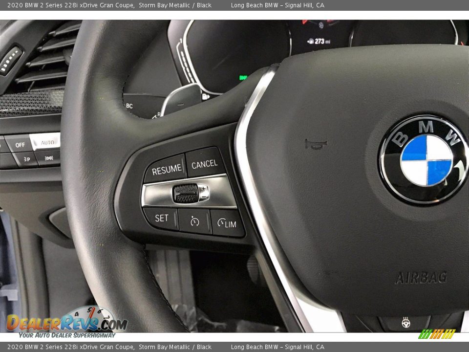 2020 BMW 2 Series 228i xDrive Gran Coupe Storm Bay Metallic / Black Photo #18