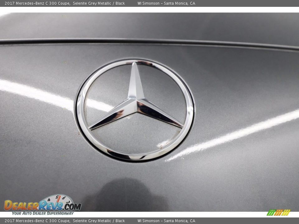 2017 Mercedes-Benz C 300 Coupe Selenite Grey Metallic / Black Photo #9