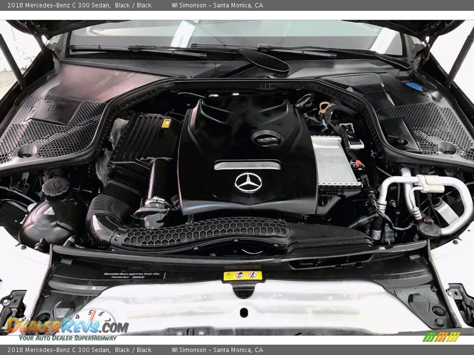 2018 Mercedes-Benz C 300 Sedan Black / Black Photo #9